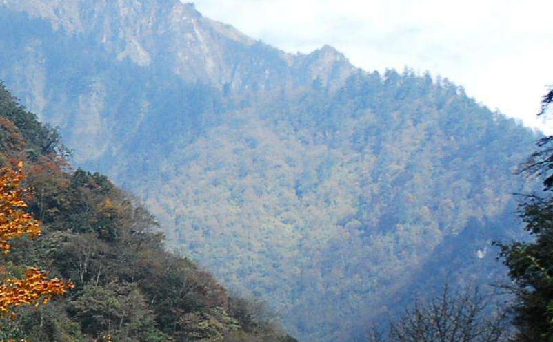 影视旅游目的地集合粉丝群体，助力景区精准营销