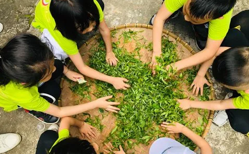亲子研学、家庭休闲为主要出游动机