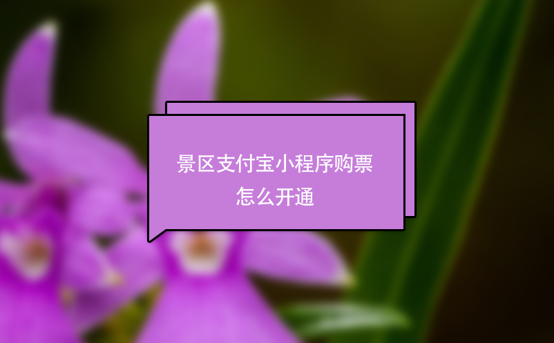 景区支付宝小程序购票怎么开通？