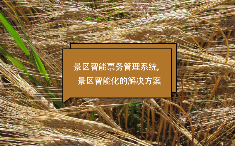 景区智能票务管理系统，景区智能化的解决方案