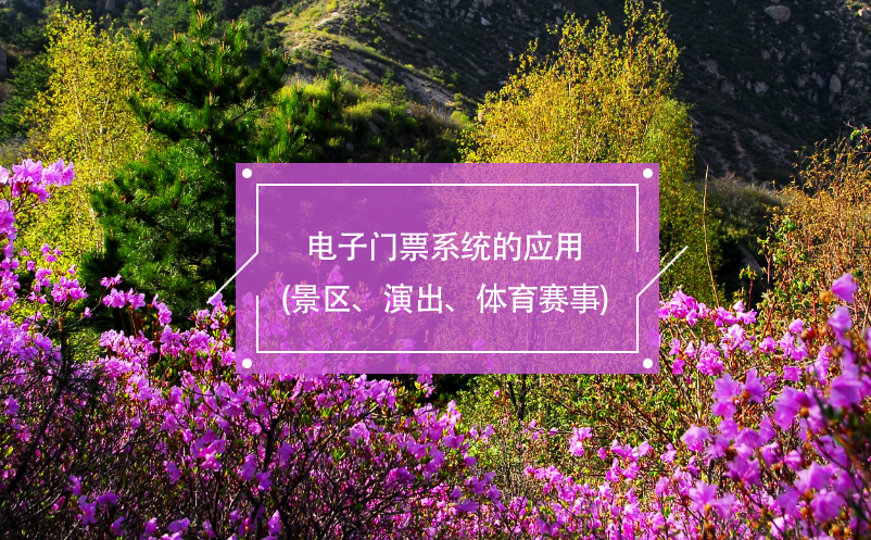 电子门票系统的应用(景区、演出、体育赛事)
