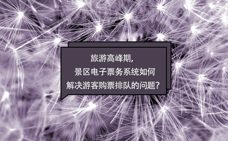 旅游高峰期，景区电子票务系统如何解决游客购票排队的问题？