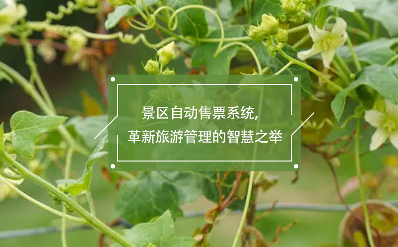 景区自动售票系统，革新旅游管理的智慧之举