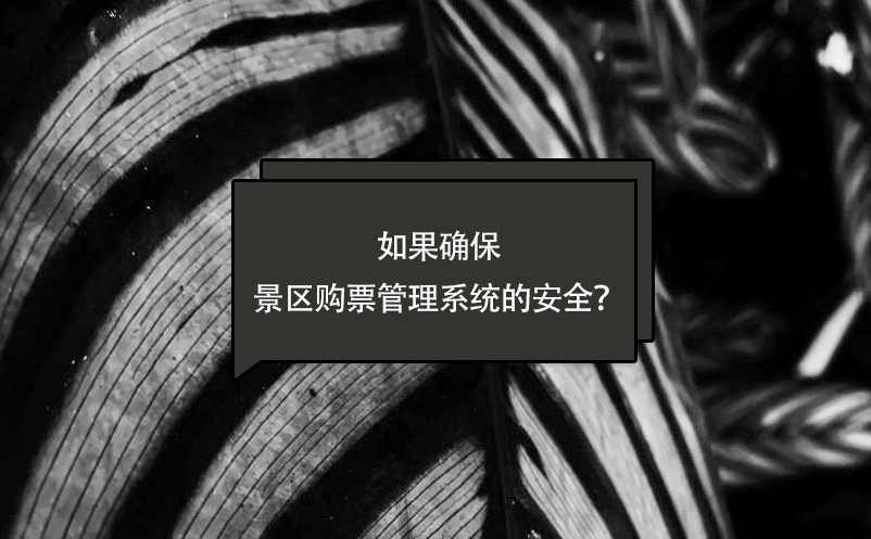 如果确保景区购票管理系统的安全？