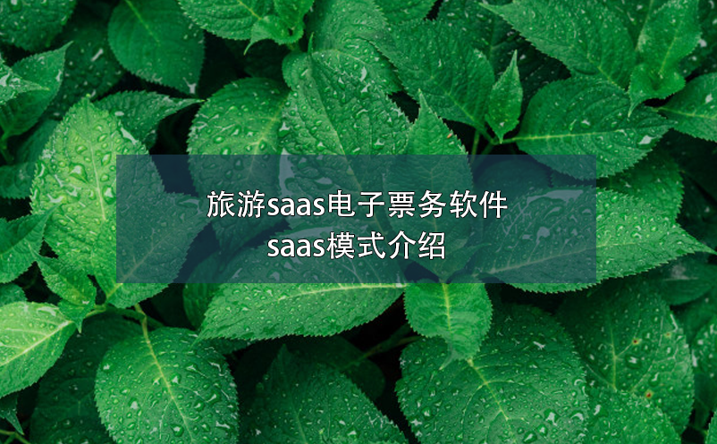 旅游saas电子票务软件，saas模式介绍