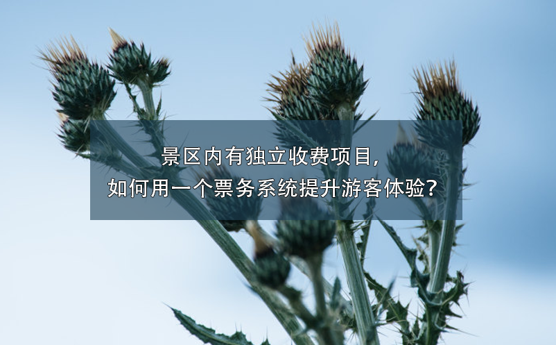 景区内有独立收费项目，如何用一个票务系统提升游客体验？