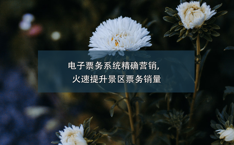 电子票务系统精确营销，火速提升景区票务销量