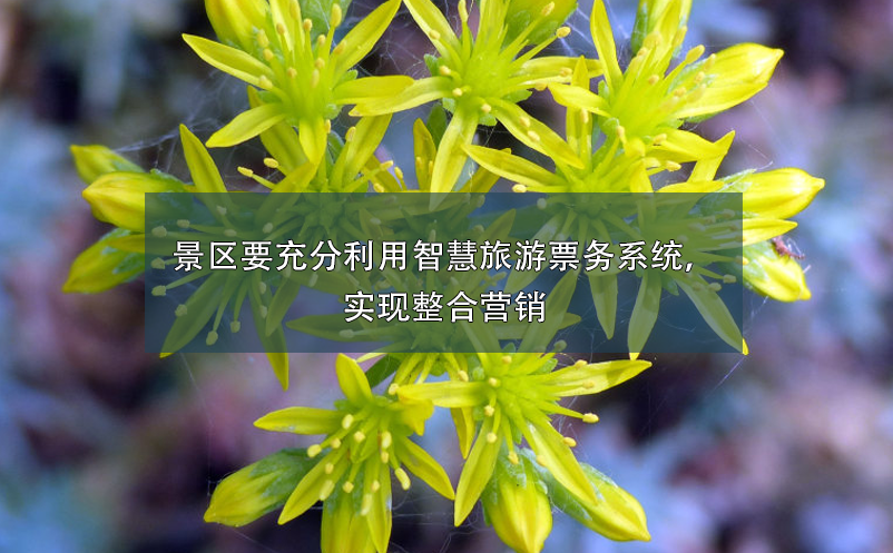 景区要充分利用智慧旅游票务系统，实现整合营销