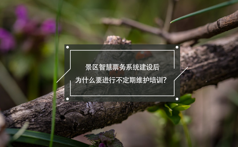 景区智慧票务系统建设后为什么要进行不定期维护培训？