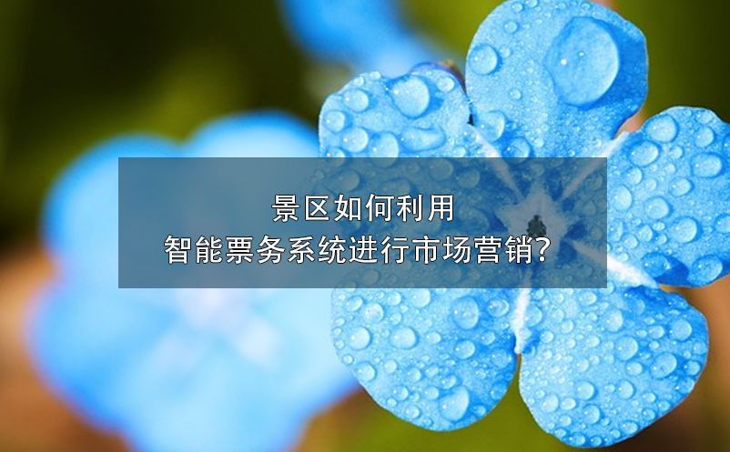 景区如何利用智能票务系统进行市场营销？