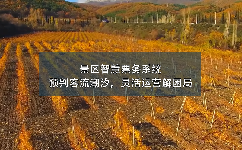 景区智慧票务系统预判客流潮汐，灵活运营解困局