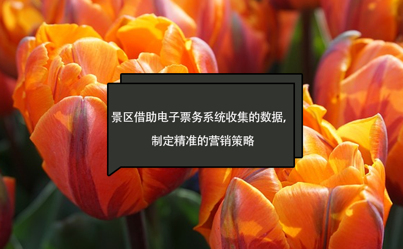 景区借助电子票务系统收集的数据，制定精准的营销策略