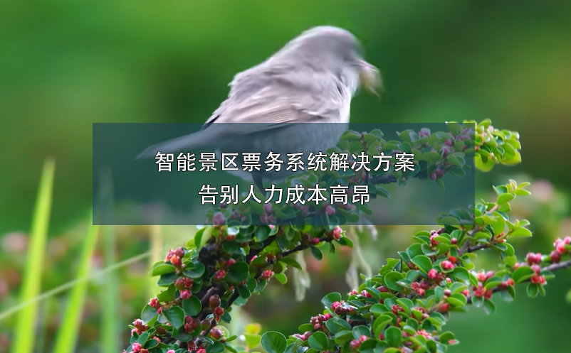 端午小长假，智能票务系统如何在确保游客体验和提升景区的管理？
