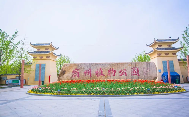 告别“人从众”，宿州植物园用易景通智慧票务系统玩转生态旅游新体验