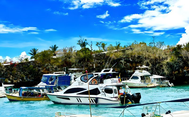 易景通签约太平洋明珠航运，西班牙语票务系统，开启国际化新篇章