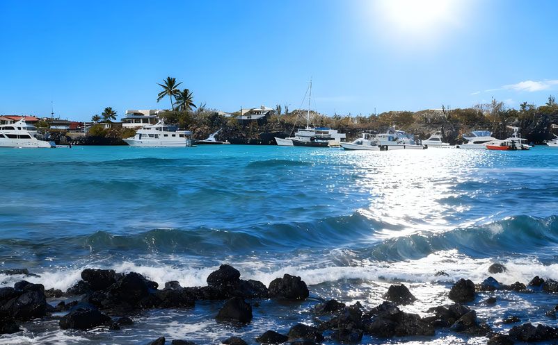 易景通签约太平洋明珠航运，西班牙语票务系统，开启国际化新篇章