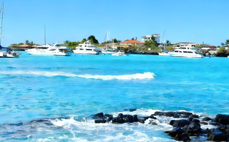 易景通签约太平洋明珠航运，西班牙语票务系统，开启国际化新篇章