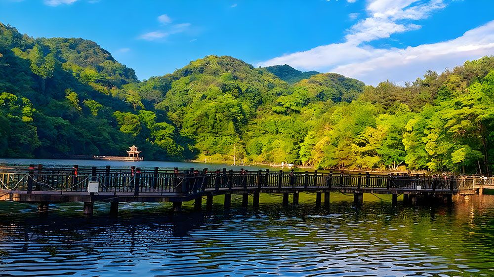 易景通为阳明山国家森林公园打造线上线下结合的景区售票系统 易景通为阳明山国家森林公园打造线上线下结合的景区售票系统