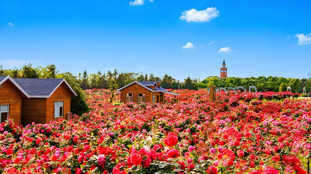 巴夫洛生态谷升级景区票务系统，采用易景通景区票务系统