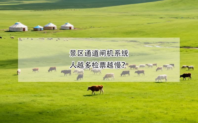 景区通道闸机系统人越多检票越慢？